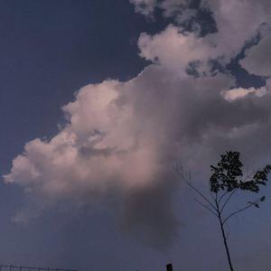 双飞麻将馆老板娘的背景故事
